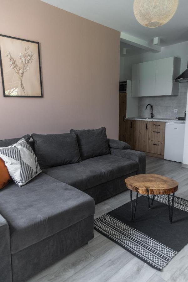 W Sercu Mazur Apartment *